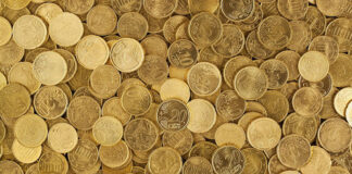 Euro
