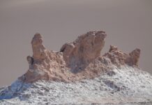 Jak wprowadzić środek trwały do firmy?