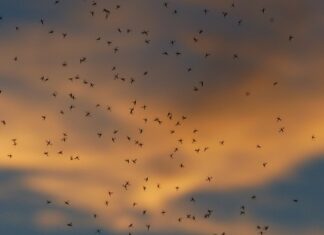 Od jakiej kwoty do środków trwałych?