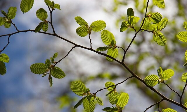 Co wyłącza czyn? Co wyłącza czyn?