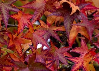 Czy likwidacja to zbycie?