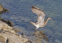 Jak się rozlicza środek trwały?