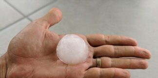 Co to są koszty stałe przykłady?