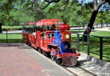 Kto dziedziczy akcje pracownicze?