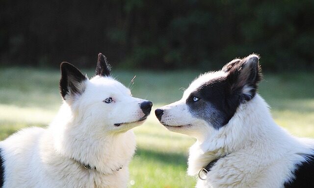 Ile trzeba mieć lajków żeby zarabiać?