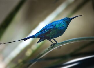 Kiedy faktura staje się kosztem?