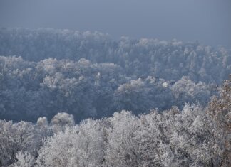 Co to jest ujemna wartość firmy?