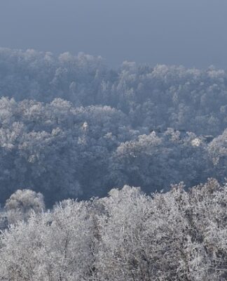 Co to jest ujemna wartość firmy?