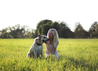 Jak bogaty jest friz?