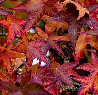 Po jakim czasie można zlikwidować działalność gospodarczą?