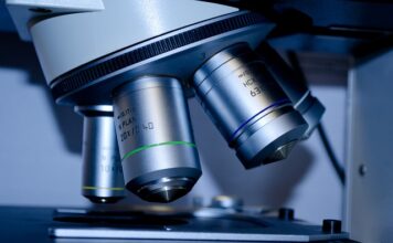 Ile lat trwają studia humanistyczne?