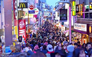 Jakie to są przedmioty humanistyczne?