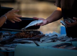 Jak sprzedawać na OLX jako osoba prywatna?