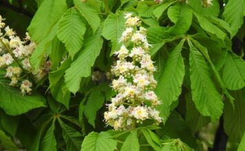 Czy matura ma w ogóle sens?