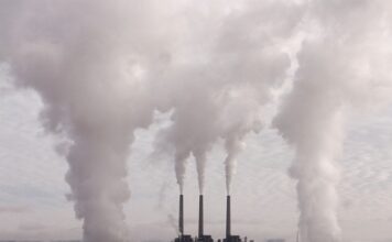 Jak unikać zanieczyszczeń środowiska?