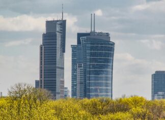 Na czym polega pielęgnacja zieleni wokół biur? Dowiedz się!