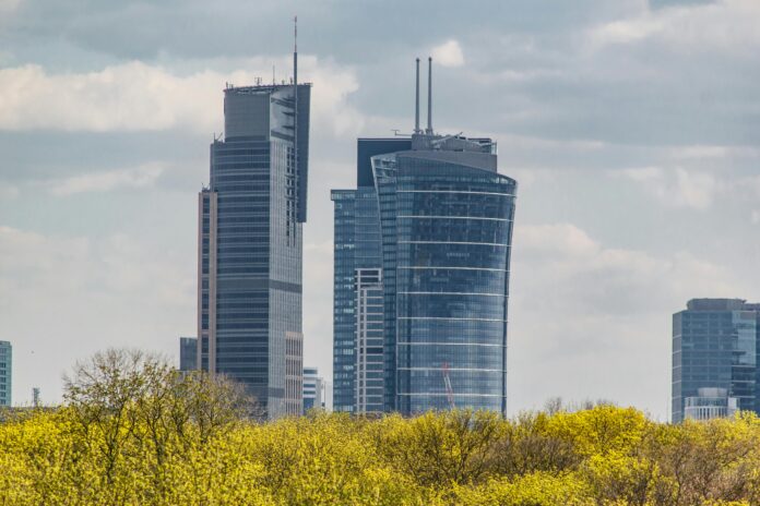 Na czym polega pielęgnacja zieleni wokół biur? Dowiedz się!