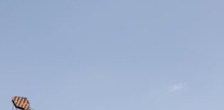 Ile kosztuje uprawnienie na ładowarkę teleskopową