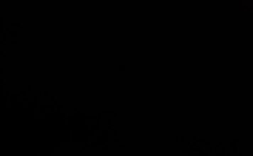 Jakie są 4 główne zasady projektowania graficznego